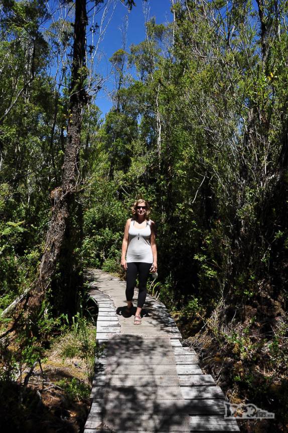 Trilha em meio à mata nativa do Parque Nacional Chiloé, na costa oeste da ilha, no sul do Chile
